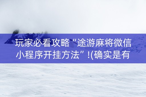 玩家必看攻略“途游麻将微信小程序开挂方法”!(确实是有挂)-知乎