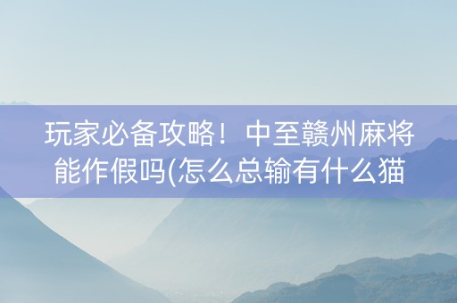 玩家必备攻略！中至赣州麻将能作假吗(怎么总输有什么猫腻)
