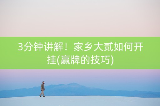 3分钟讲解！家乡大贰如何开挂(赢牌的技巧)