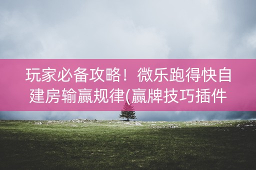 玩家必备攻略！微乐跑得快自建房输赢规律(赢牌技巧插件安装)