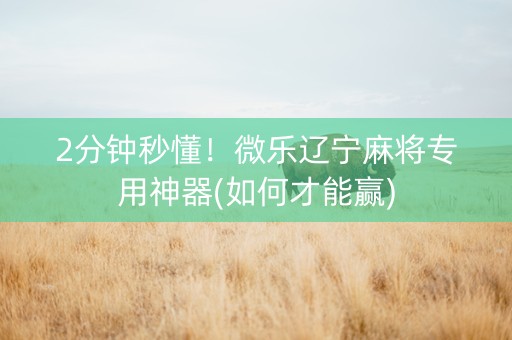 2分钟秒懂！微乐辽宁麻将专用神器(如何才能赢)
