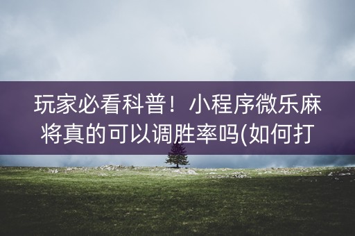 玩家必看科普！小程序微乐麻将真的可以调胜率吗(如何打赢有插件吗)