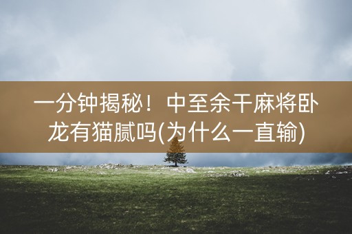 一分钟揭秘！中至余干麻将卧龙有猫腻吗(为什么一直输)