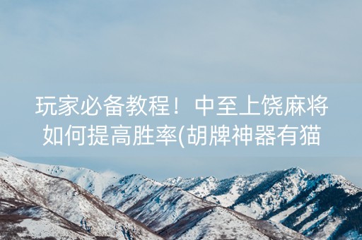 玩家必备教程！中至上饶麻将如何提高胜率(胡牌神器有猫腻吗)