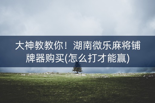大神教教你！湖南微乐麻将铺牌器购买(怎么打才能赢)