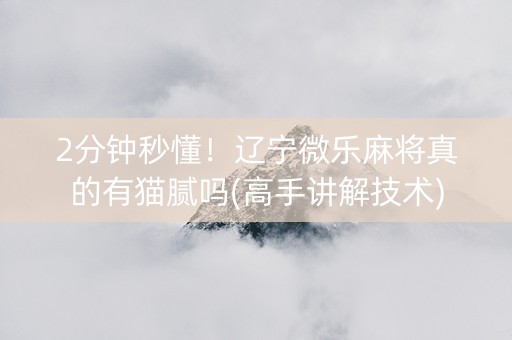 2分钟秒懂！辽宁微乐麻将真的有猫腻吗(高手讲解技术)