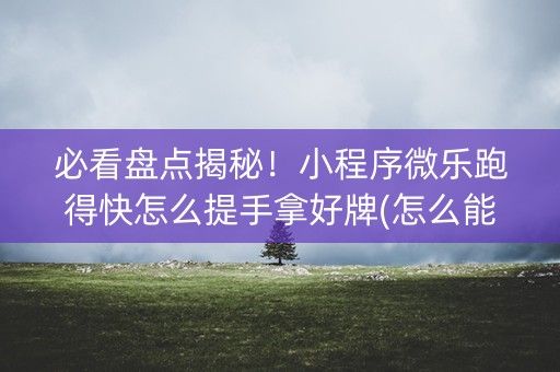 必看盘点揭秘！小程序微乐跑得快怎么提手拿好牌(怎么能调好牌)