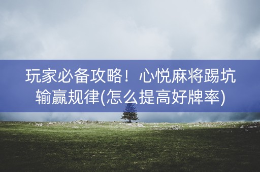 玩家必备攻略！心悦麻将踢坑输赢规律(怎么提高好牌率)