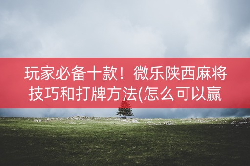 玩家必备十款！微乐陕西麻将技巧和打牌方法(怎么可以赢)