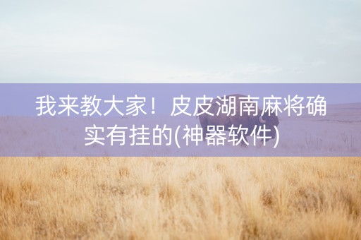 我来教大家！皮皮湖南麻将确实有挂的(神器软件)