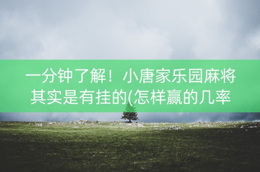 一分钟了解！小唐家乐园麻将其实是有挂的(怎样赢的几率大)