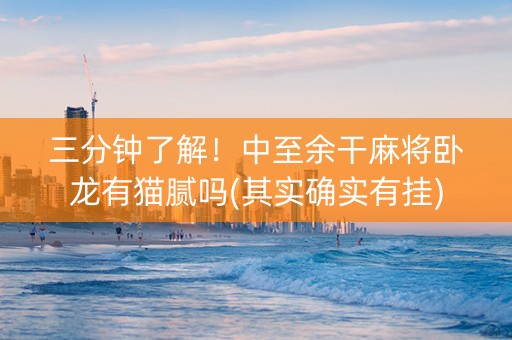 三分钟了解！中至余干麻将卧龙有猫腻吗(其实确实有挂)