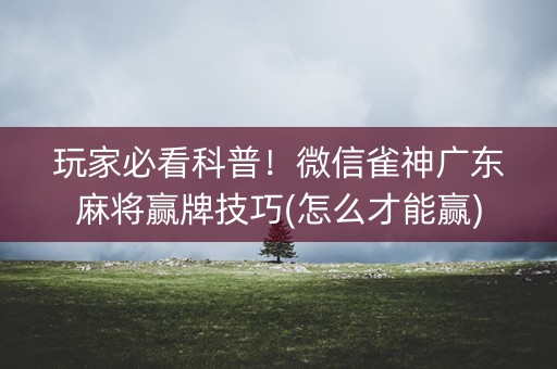 玩家必看科普！微信雀神广东麻将赢牌技巧(怎么才能赢)