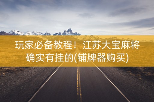 玩家必备教程！江苏大宝麻将确实有挂的(铺牌器购买)