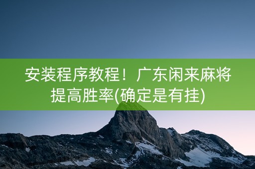 安装程序教程！广东闲来麻将提高胜率(确定是有挂)