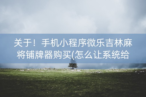 关于！手机小程序微乐吉林麻将铺牌器购买(怎么让系统给好牌)
