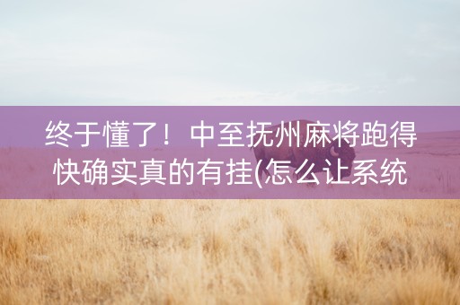终于懂了！中至抚州麻将跑得快确实真的有挂(怎么让系统给好牌)