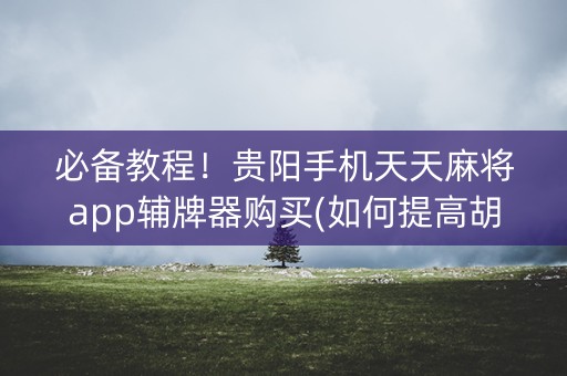 必备教程！贵阳手机天天麻将app辅牌器购买(如何提高胡牌率)