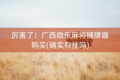 厉害了！广西微乐麻将铺牌器购买(确实有挂吗)