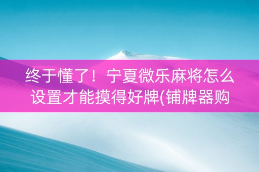 终于懂了！宁夏微乐麻将怎么设置才能摸得好牌(铺牌器购买)