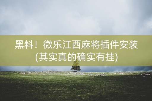 黑料！微乐江西麻将插件安装(其实真的确实有挂)