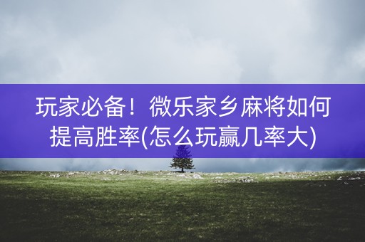 玩家必备！微乐家乡麻将如何提高胜率(怎么玩赢几率大)