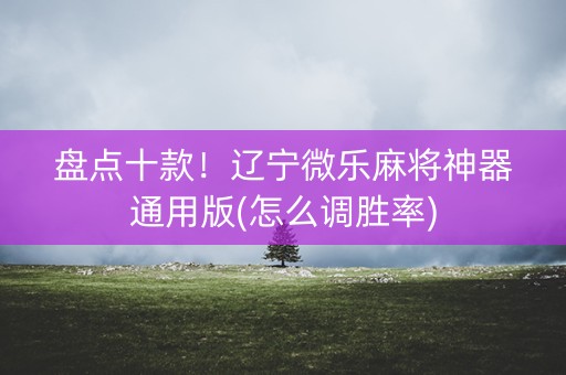 盘点十款！辽宁微乐麻将神器通用版(怎么调胜率)