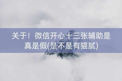 关于！微信开心十三张辅助是真是假(是不是有猫腻)