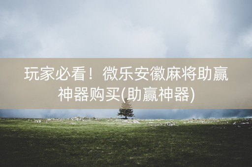 玩家必看！微乐安徽麻将助赢神器购买(助赢神器)