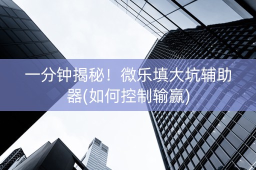 一分钟揭秘！微乐填大坑辅助器(如何控制输赢)