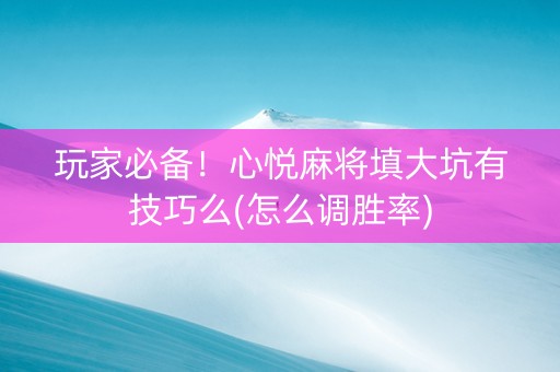 玩家必备！心悦麻将填大坑有技巧么(怎么调胜率)