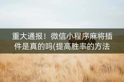 重大通报！微信小程序麻将插件是真的吗(提高胜率的方法)