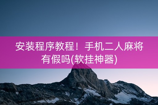 安装程序教程！手机二人麻将有假吗(软挂神器)