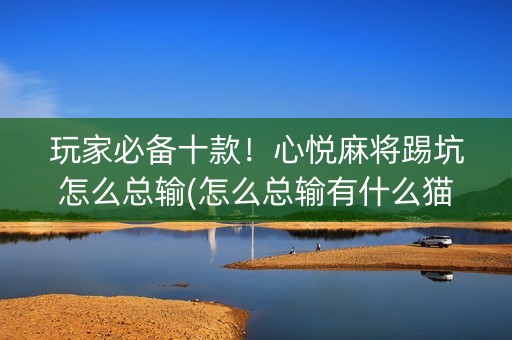 玩家必备十款！心悦麻将踢坑怎么总输(怎么总输有什么猫腻)