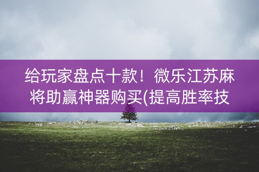 给玩家盘点十款！微乐江苏麻将助赢神器购买(提高胜率技巧)
