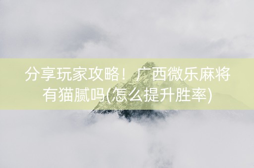 分享玩家攻略！广西微乐麻将有猫腻吗(怎么提升胜率)