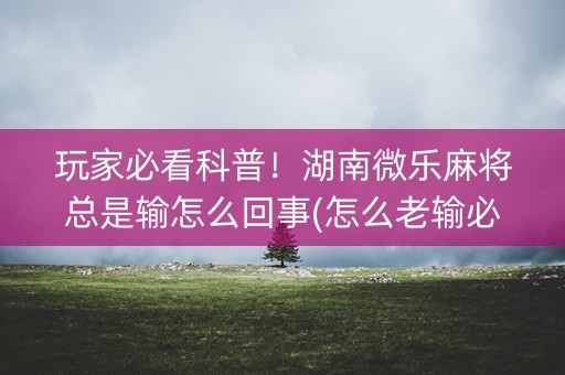 玩家必看科普！湖南微乐麻将总是输怎么回事(怎么老输必备神器)