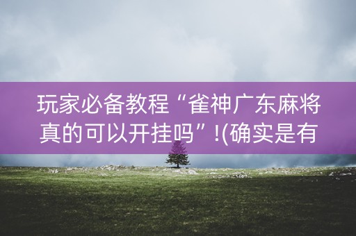 玩家必备教程“雀神广东麻将真的可以开挂吗”!(确实是有挂)-知乎