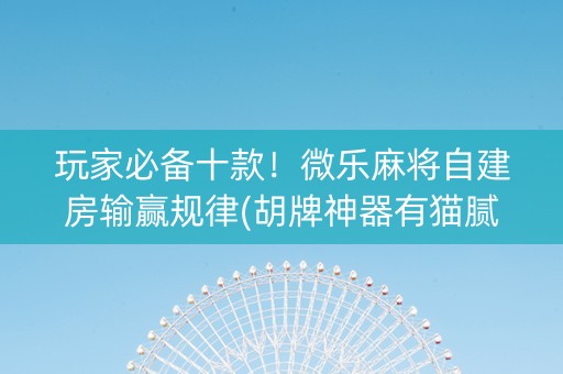 玩家必备十款！微乐麻将自建房输赢规律(胡牌神器有猫腻吗)