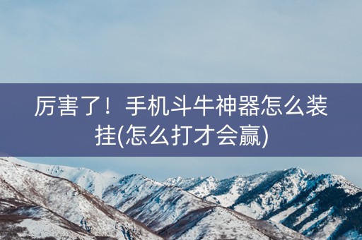 厉害了！手机斗牛神器怎么装挂(怎么打才会赢)