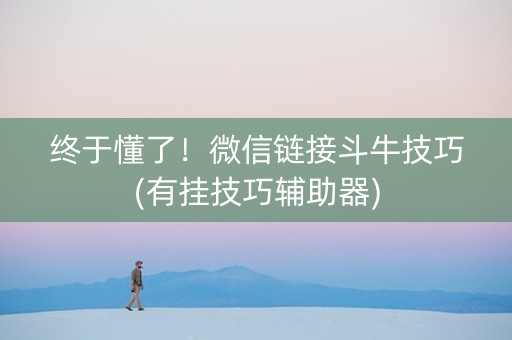 终于懂了！微信链接斗牛技巧(有挂技巧辅助器)
