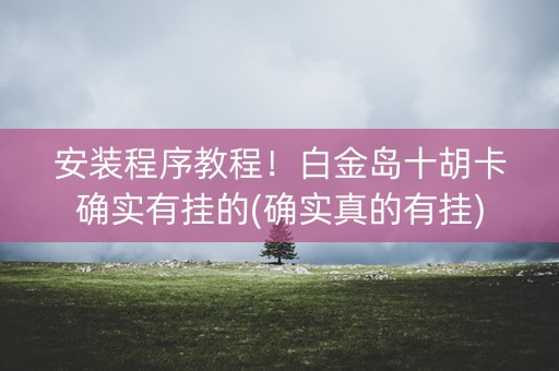 安装程序教程！白金岛十胡卡确实有挂的(确实真的有挂)