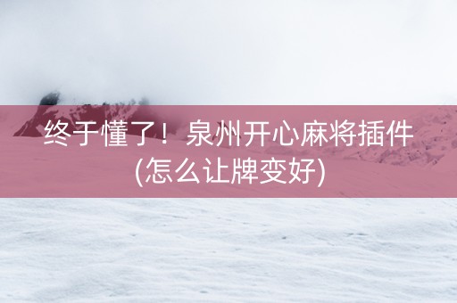 终于懂了！泉州开心麻将插件(怎么让牌变好)