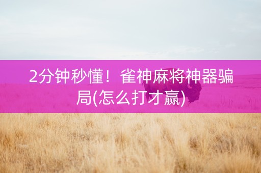 2分钟秒懂！雀神麻将神器骗局(怎么打才赢)