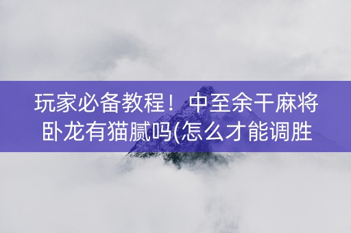 玩家必备教程！中至余干麻将卧龙有猫腻吗(怎么才能调胜率)