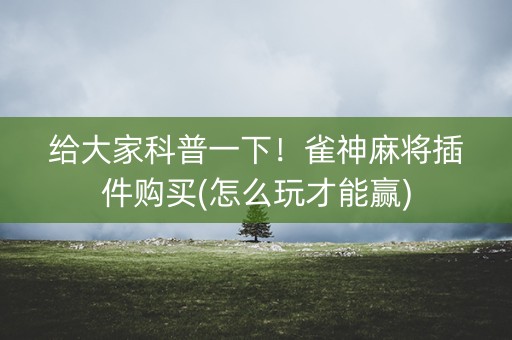 给大家科普一下！雀神麻将插件购买(怎么玩才能赢)