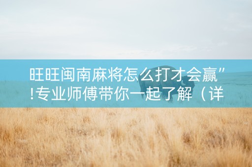 旺旺闽南麻将怎么打才会赢”!专业师傅带你一起了解（详细教程）-知乎