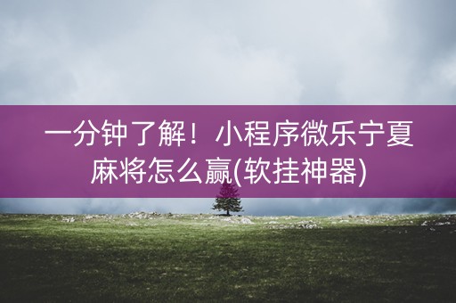 一分钟了解！小程序微乐宁夏麻将怎么赢(软挂神器)