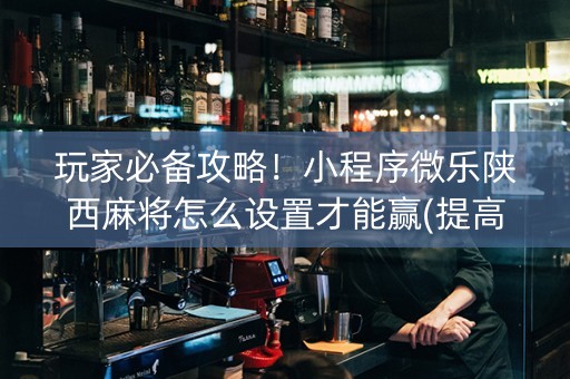 玩家必备攻略！小程序微乐陕西麻将怎么设置才能赢(提高胜率软件)