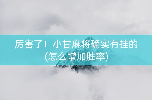 厉害了！小甘麻将确实有挂的(怎么增加胜率)